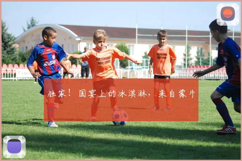 独家！国宴上的冰淇淋，来自蒙牛