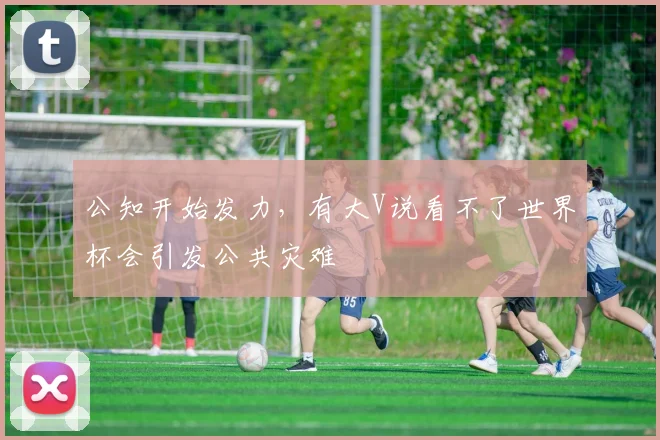 公知开始发力，有大V说看不了世界杯会引发公共灾难