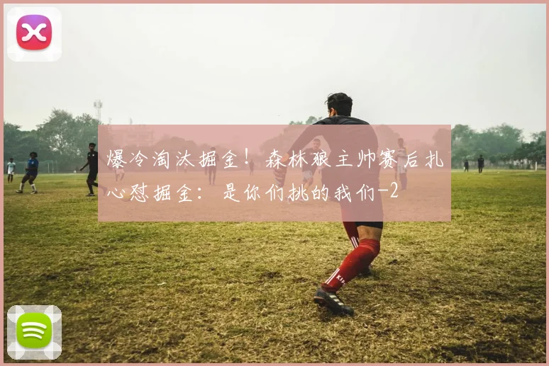爆冷淘汰掘金!森林狼主帅赛后扎心怼掘金:是你们挑的我们