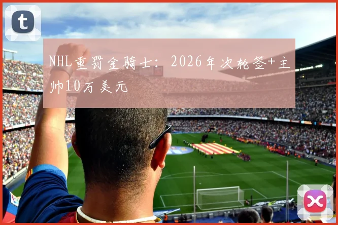 NHL重罚金骑士：2026年次轮签+主帅10万美元